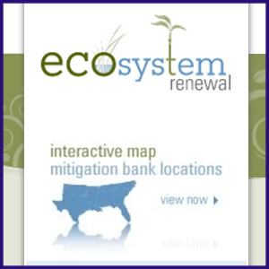 Louisiana Wetland Mitigation Bank